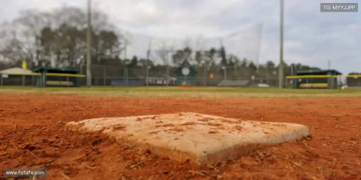 球迷专属,周边一站式购齐!🎁👕